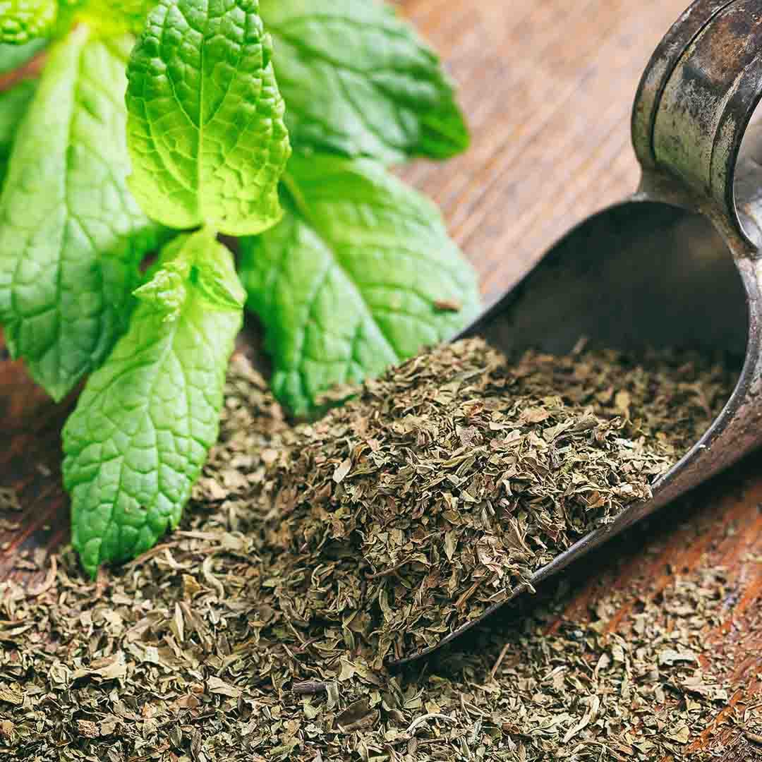 Spearmint